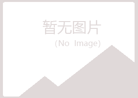 罗山县沉沦会计有限公司